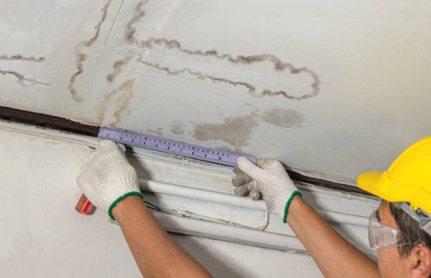 Reliable Water Damage contractor in Deep Run, NC by Water Damage Irwin